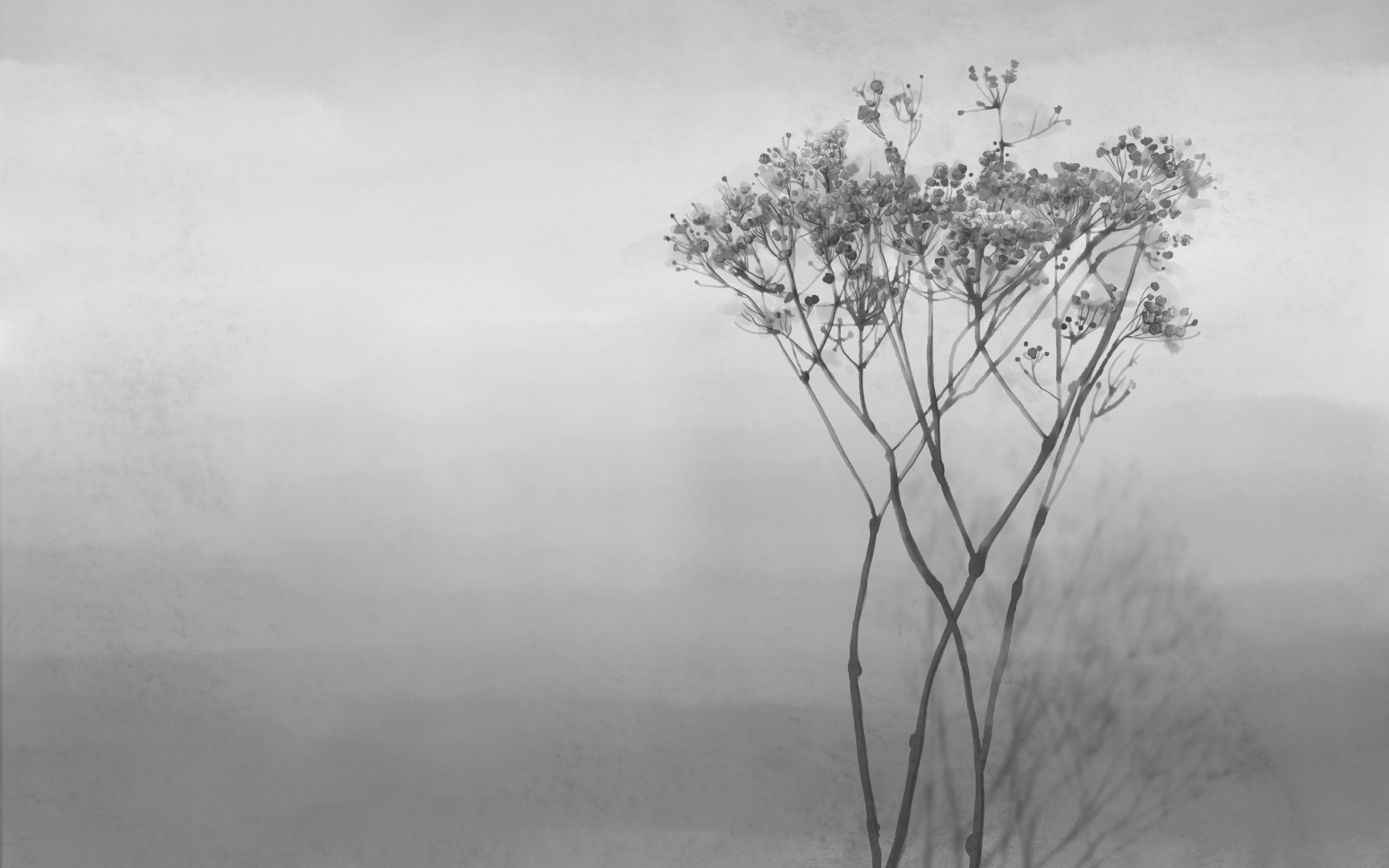 Печать обоев: Утренняя нежность черная