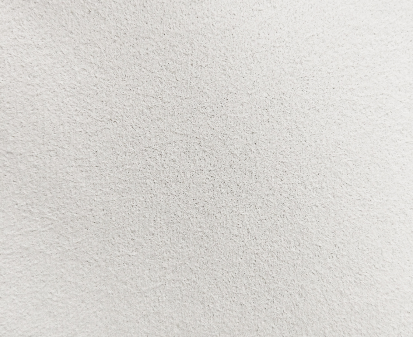 Печать обоев: Бесшовные обои Ворс под покраску, 3,2 м