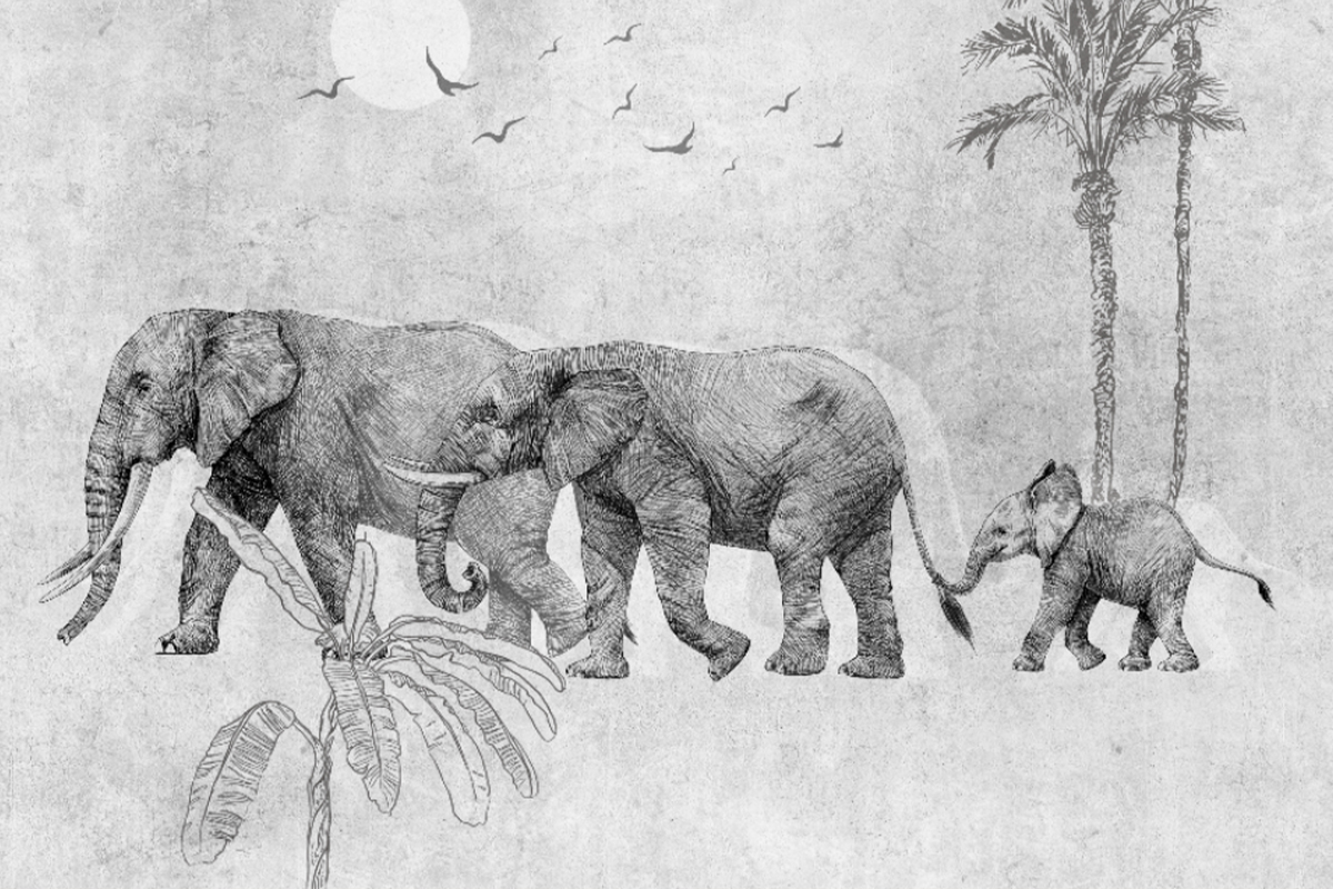 Печать обоев: ELEPHANT FAM