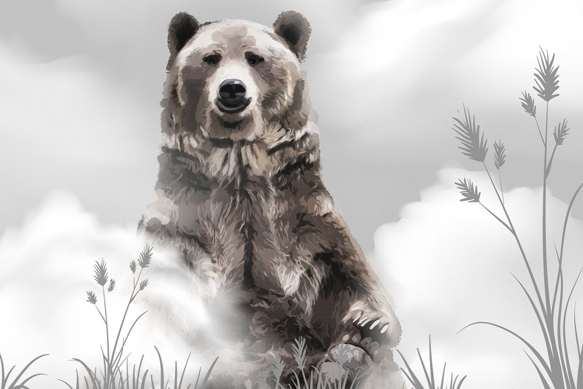 Печать обоев: Bear friend