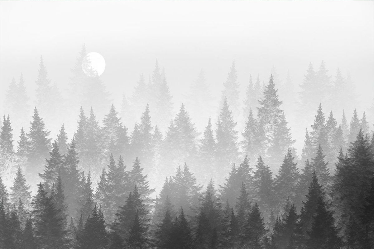 Печать обоев: GREY FOREST