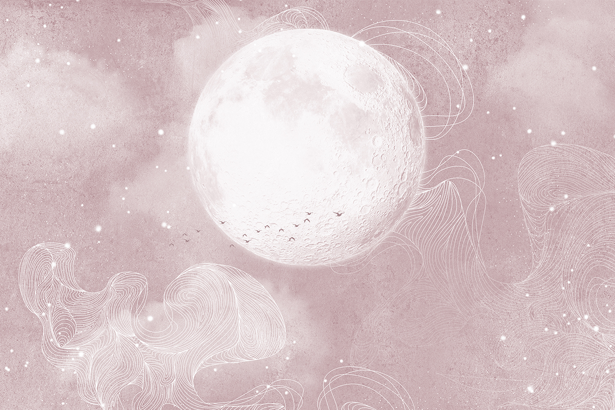 Печать обоев: MOON PINK