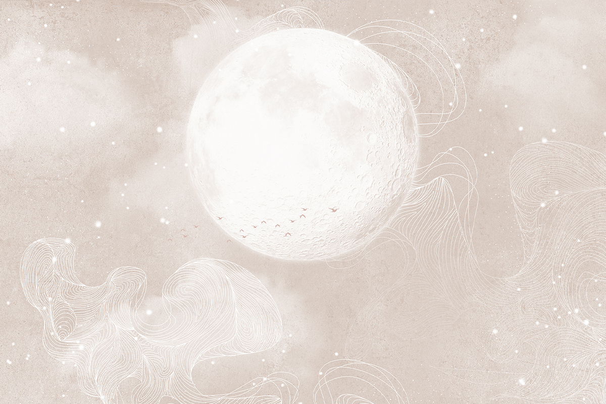 Печать обоев: MOON BEGIE