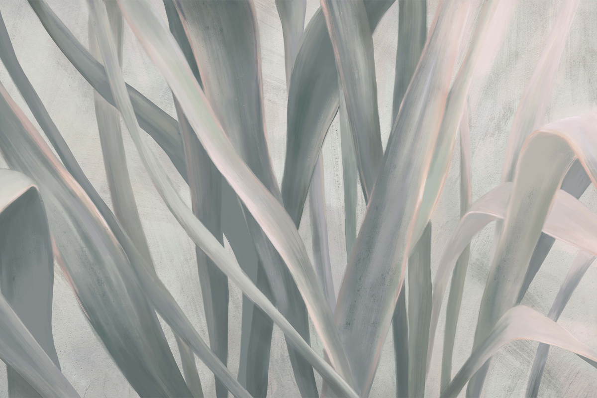 Печать обоев: GREEN SEDGE