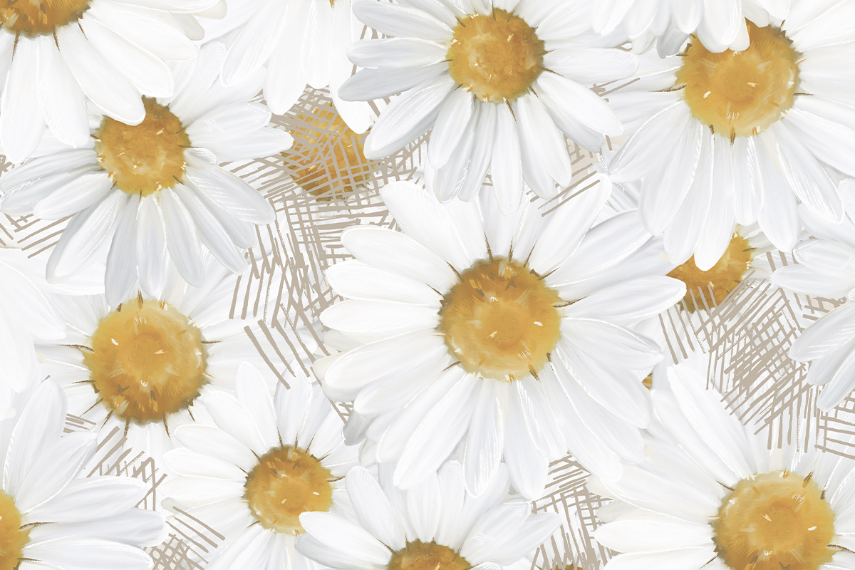 Печать обоев: CHAMOMILE GENTLE