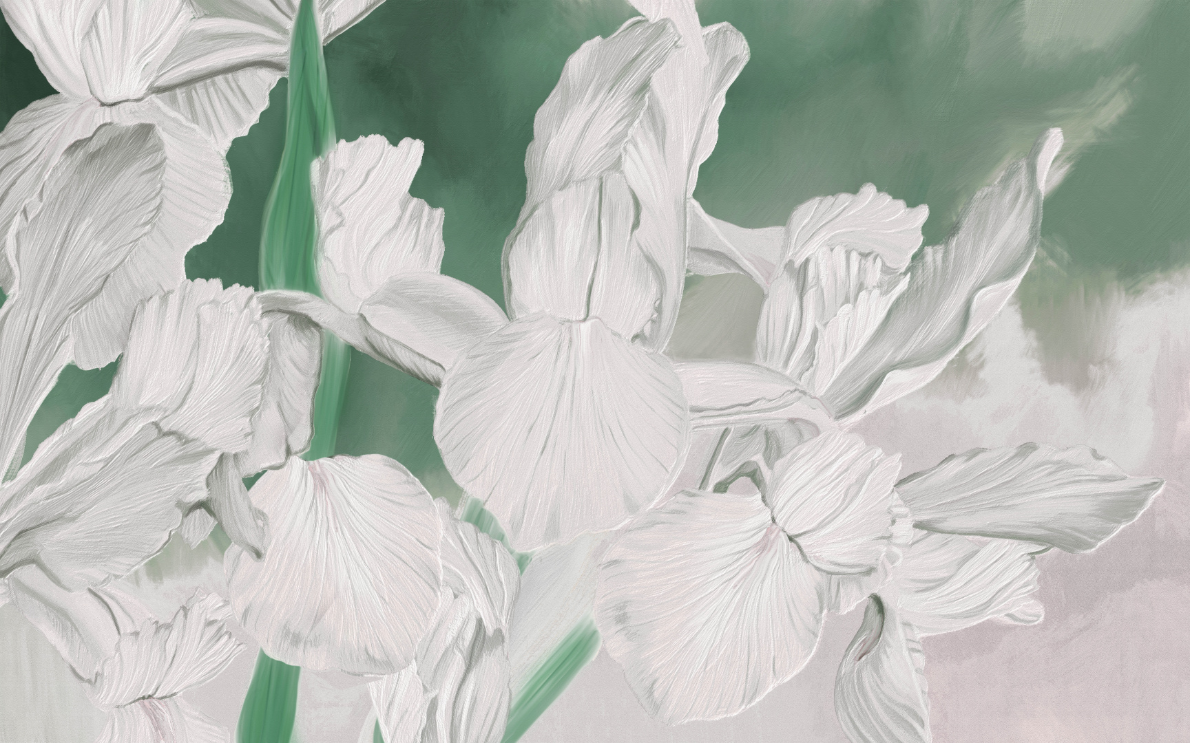 Печать обоев: Ирис белый и зеленый