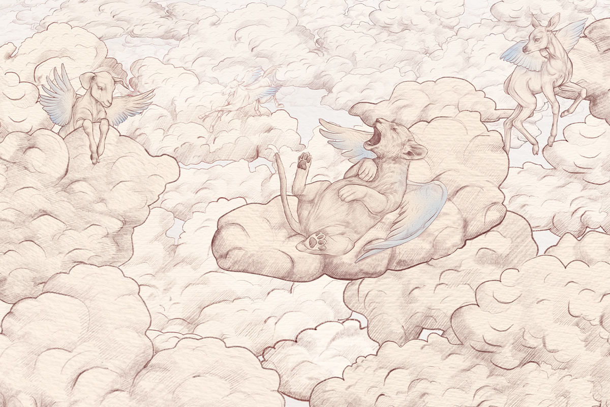 Печать обоев: CLOUD KIDS