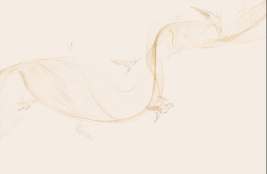 Bird line gold – образец 2