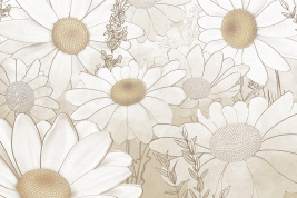 Графика ромашек – образец 2