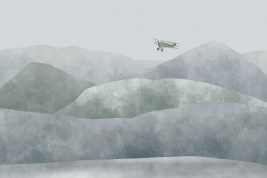 Покоритель неба – образец 2