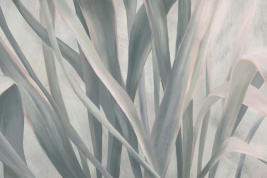 Темно-зеленая осока – образец 2