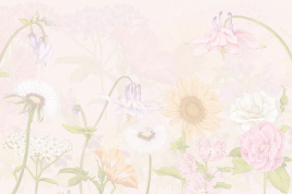 Феи 4 – образец 2