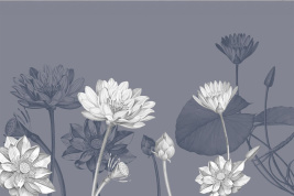 Лотус2 – образец 2