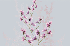 Магнолия2 – образец 2