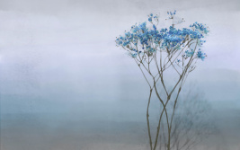 Tenerezza del mattino etere – образец 2