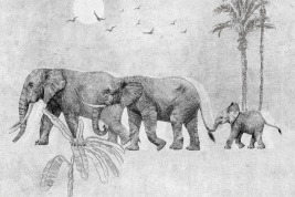 ELEPHANT FAM – образец 2