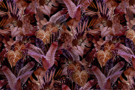 ТРОПИКИ ВИННЫЕ НА ПАНДОРЕ – образец 2