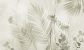 Тропический мираж – образец 2