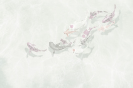 Гармония воды 3 – образец 2