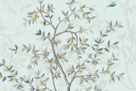 Апельсиновое дерево – образец 2