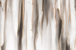 Флюиды 18 – образец 2