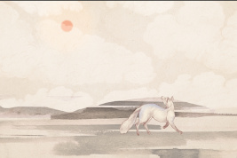 Дюны FOX – образец 2