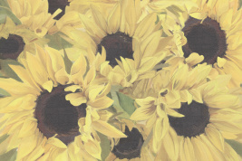 Подсолнухи – образец 2