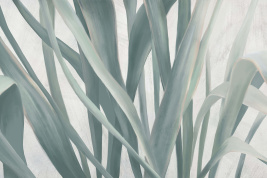 MORE GREEN SEDGE – образец 2