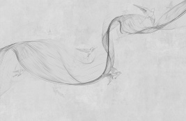 Bird line semi grey – образец 2