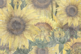 Подсолнухи пастель – образец 2