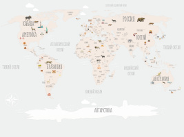 Карта универсальная – образец 2