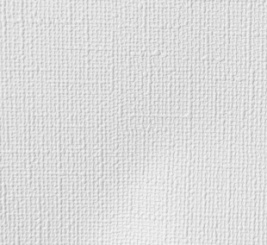 Винил на флизелиновой основе ХОЛСТ – образец 1