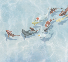 Гармония воды 2 – образец 1