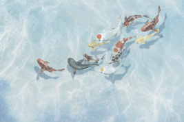 Гармония воды 2 – образец 2