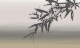 Бамбук бежевый – образец 2