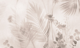 Тропический мираж S – образец 2