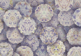 Большой круг: Акцент – образец 2