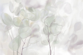 Легкое касание – образец 2