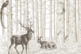 Заповедный лес – образец 2