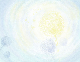 Soft Goodwill y – образец 2