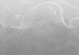 Bird line grey – образец 2