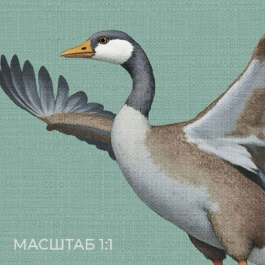 GEESE MK TURQUOISE – фото 3