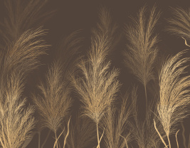 Шелест сумерек twilight – образец 2