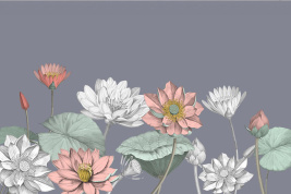 Лотус3 – образец 2