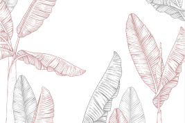 BOROTROPIC RED – образец 2