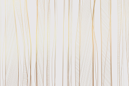 Золотые линии – образец 2