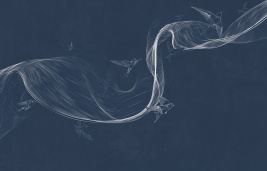 Bird line dark blue – образец 2