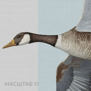 GEESE MK BLUE OCHRE – фото 3