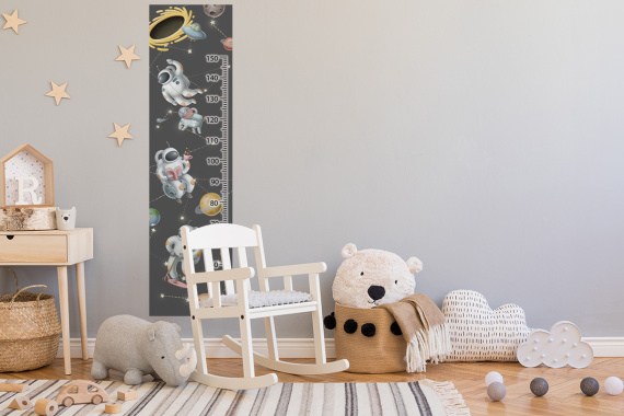 Ростомер серый Космос – фото 2