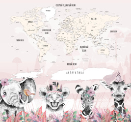 Ani map pink – образец 2